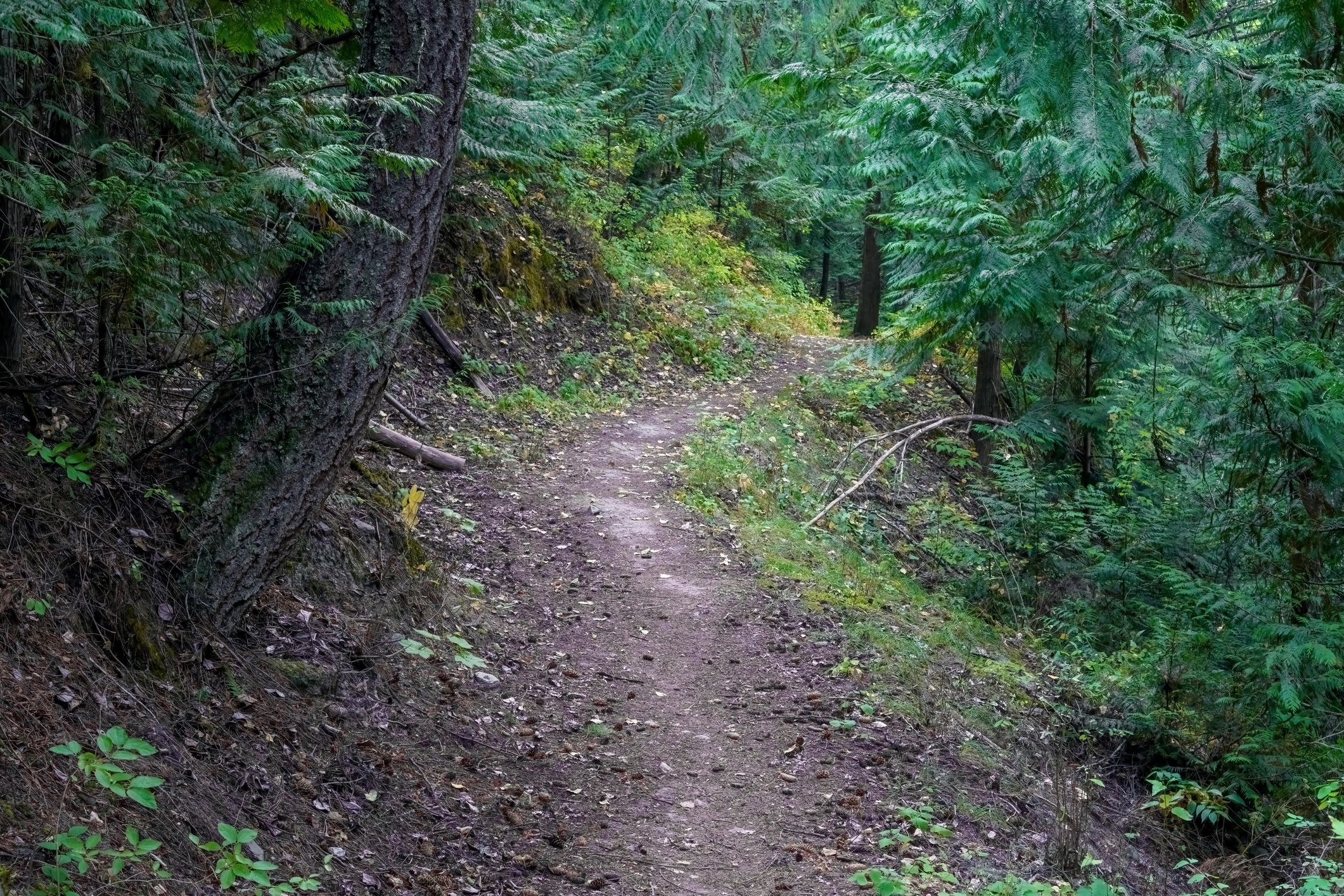 Libby Montana mountain biking